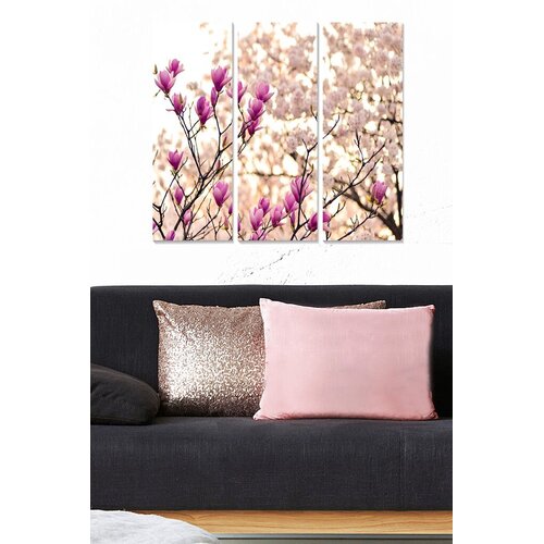 Wallity Set slika MDF2218788, 3 dijela Slike