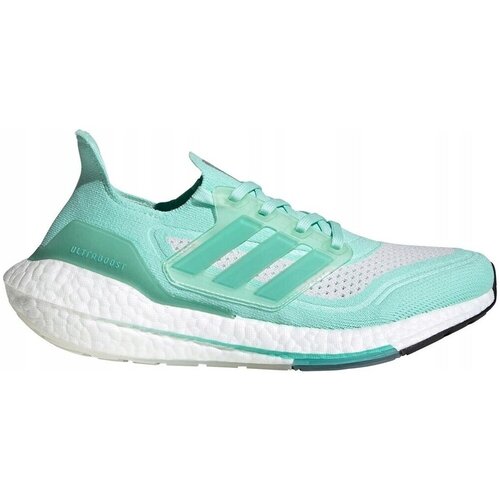 Adidas Tek & Trail UltraBoost 21 Zelena Cene