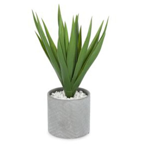 Atmosphera aloe vera u saksiji 44x47cm pe/dolomite/kamen siva (145025C) Cene