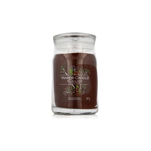 Yankee Candle Praline & Birch mirisna svijeća 567 g Cene