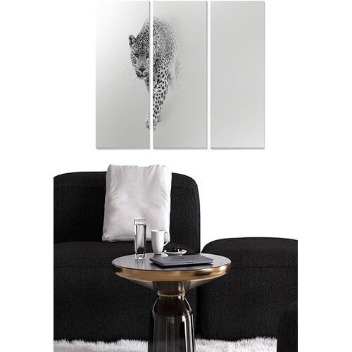 Wallity Set slika MDF787648486, 3 dijela Cene