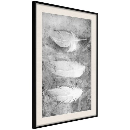  Poster - Delicate Feathers 40x60 Slike