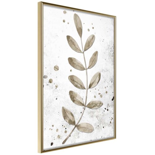  Poster - Dried Twig 20x30 Cijene