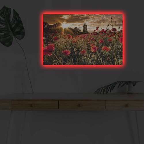 Wallity Slika sa LED osvetljenjem 4570DHDACT-083, 45x70 cm Cene