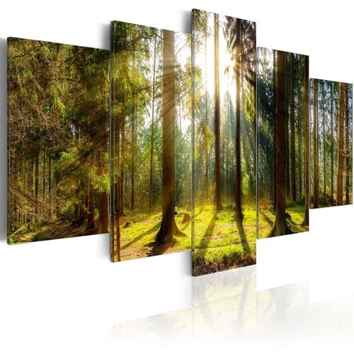  Slika - Morning Awakening 100x50 Slike