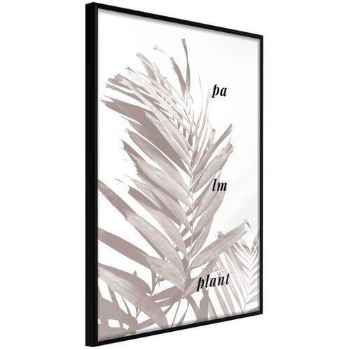  Poster - Beige Palm 40x60 Slike