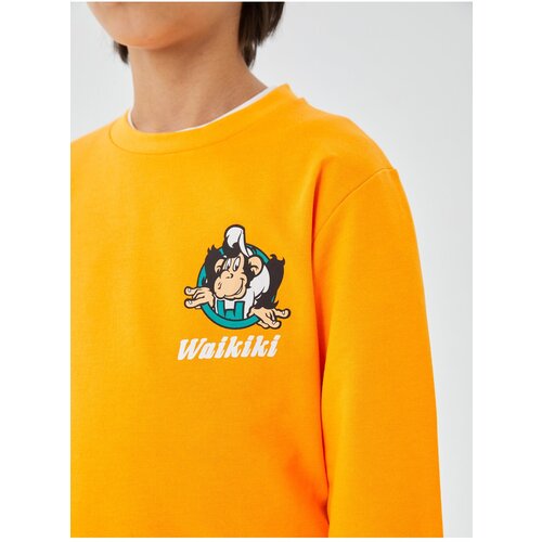 LC Waikiki Crew Neck Nostalgic Monkey Print Long Sleeve Unisex Kids' Sweatshirt. Cene