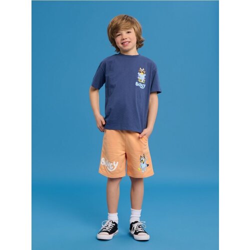 Sinsay Komplet od žerseja Bluey Cijene