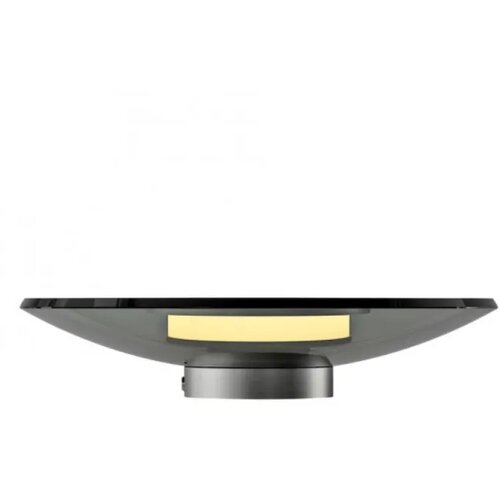  LED stona lampa PURE Moon PAUL NEUHAUS Cene