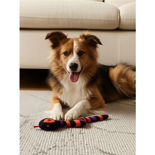 Sinsay Igračka za pse Slike