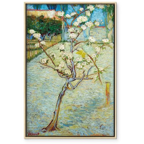  Slika - Vincent van Gogh &amp;ndash; Blossoming Pear Tree 40x60 U prirodnom drvenom okviru Slike