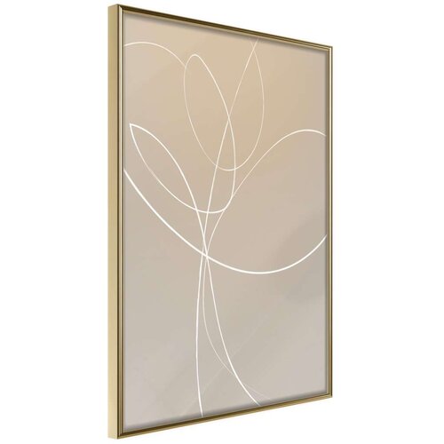  Poster - White Tulip 40x60 Slike