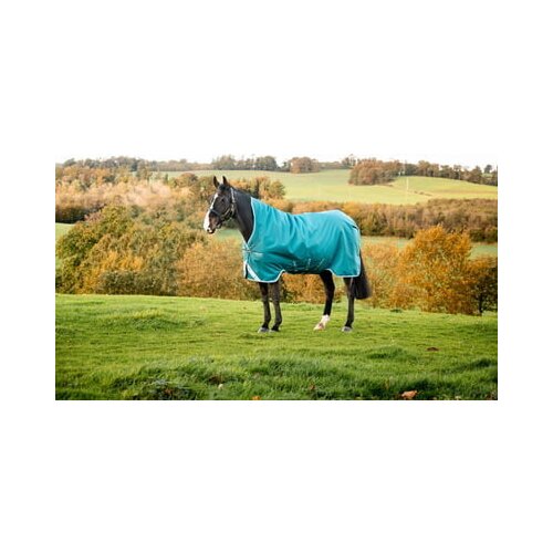  Amigo Bravo 12 Wug 250g storm green - 140 cm Slike