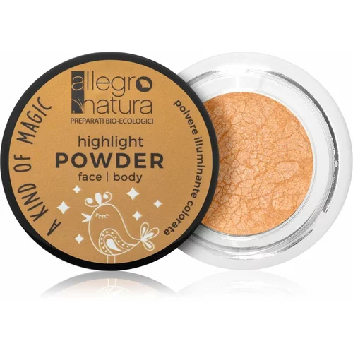 Allegro Natura "a kind of magic" highlight powder - 04 party champagne