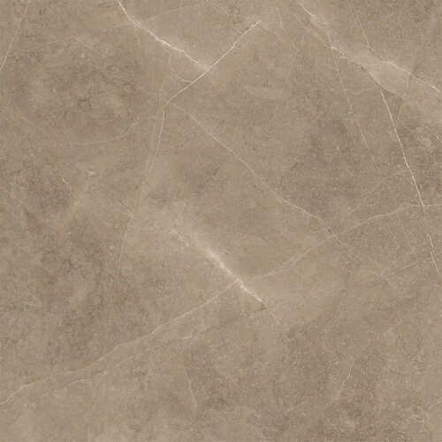  Elegant Taupe 60x60 Slike