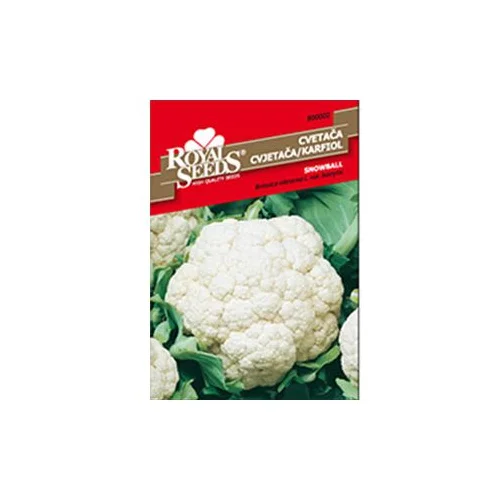  Karfiol Snježna Grudva Royal Seeds