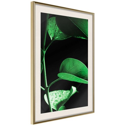  Poster - Calm After the Storm 20x30 Slike