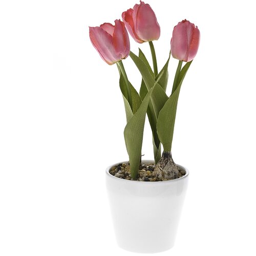 Diker HOME Ve&amp;scaron;tačke lale u keramičkoj saksiji 30 cm roze Slike