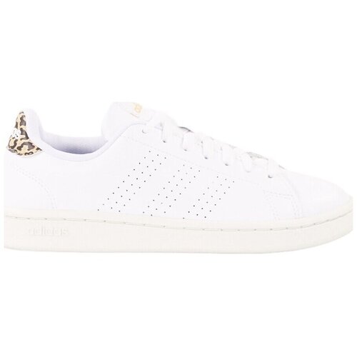 Adidas Nizke superge Advantage Bela Cene