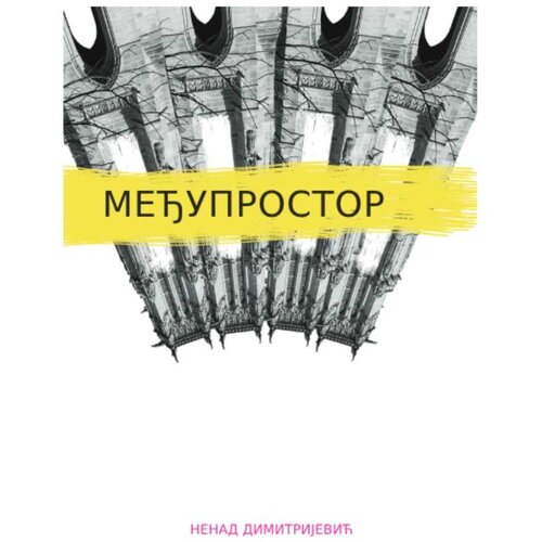  Međuprostor Nenad Dimitrijević Slike