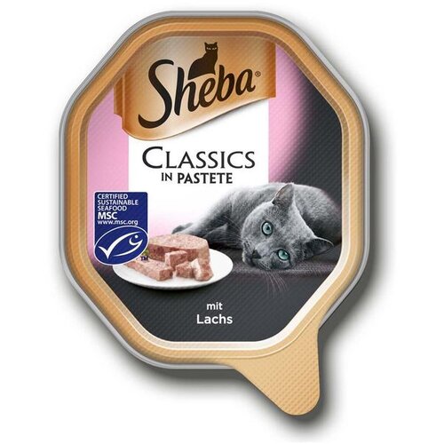 Sheba Mega pakiranje pladnji 22 x 85 g - Classics v pašteti z lososom Cene