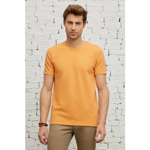 ALTINYILDIZ CLASSICS Men's Melon Juice Slim Fit Slim Fit Crew Neck Short Sleeved Basic T-Shirt with Soft Touches. Slike