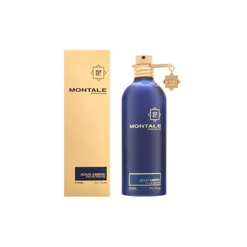 Montale Paris Aoud Ambre EDP 100 ml Slike