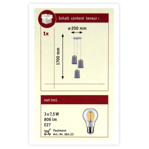 PAULMANN 79627 - Luster na sajli NORELL 3xE27/20W/230V beton Slike