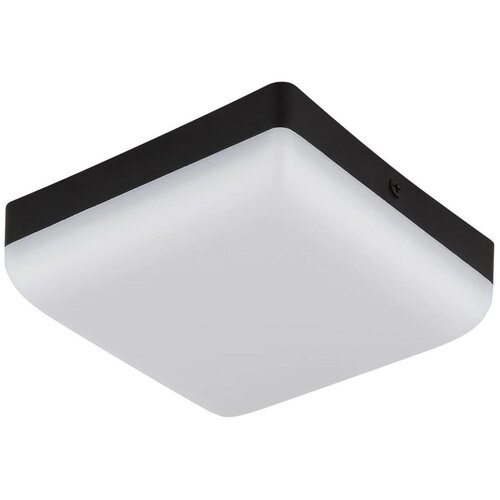 Globo 12388-8 - led stropna svetiljka matthew LED/8W/230V Cene
