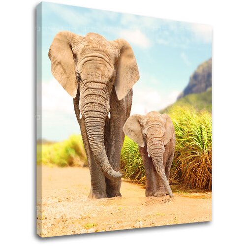  Slike na platnu ŽIVOTINJE_049-12 (moderne slike na platnu) Cene