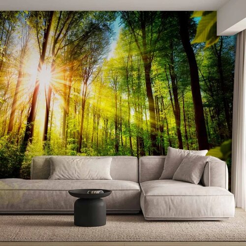  Foto tapeta - Forest Hideout 98x70 Cene