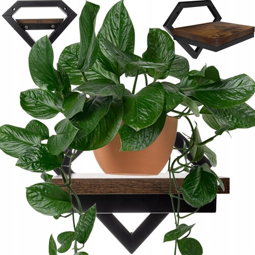 Univerzalna MDF dekorativna viseča stenska polica 20cm Cene