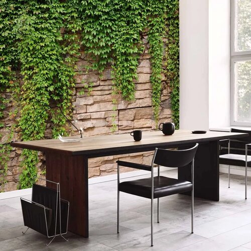  Foto tapeta - Ivy wall 150x105 Slike