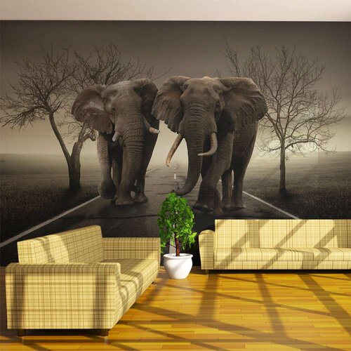 Tapeta - City of elephants 450x270 Slike