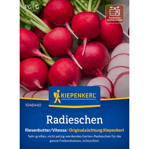 KIEPENKERL Redkvica "Riesenbutter" - 1 pkt. Cene