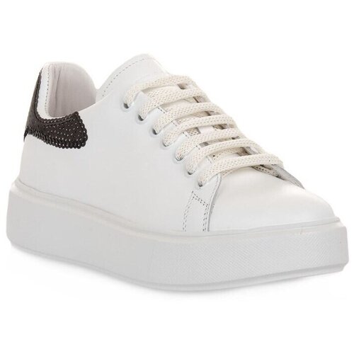 Frau Nizke superge Whib Plume Fancy Bela Slike