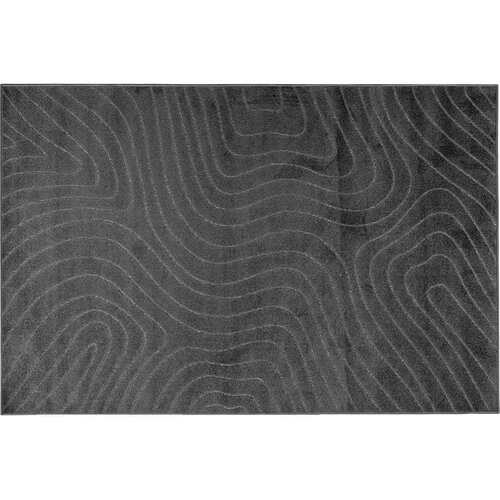  Tepisi za područja PALMERAS Antracit 340 x 240 cm Poliester Slike