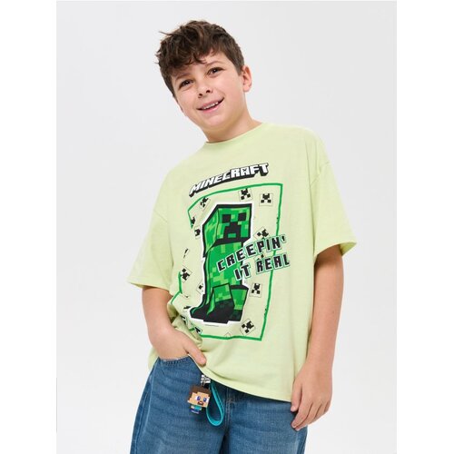 Sinsay Pamučna majica s printom Minecraft Cijene