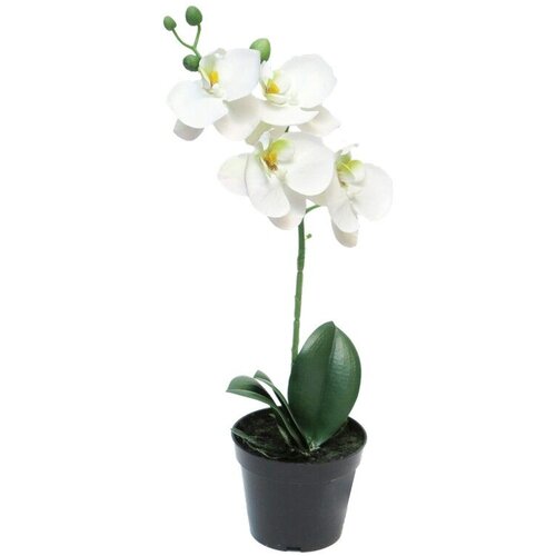 DEKOR DOM Ve&scaron;tačko cveće u saksiji Orchid 51345-0, 35 cm Cene