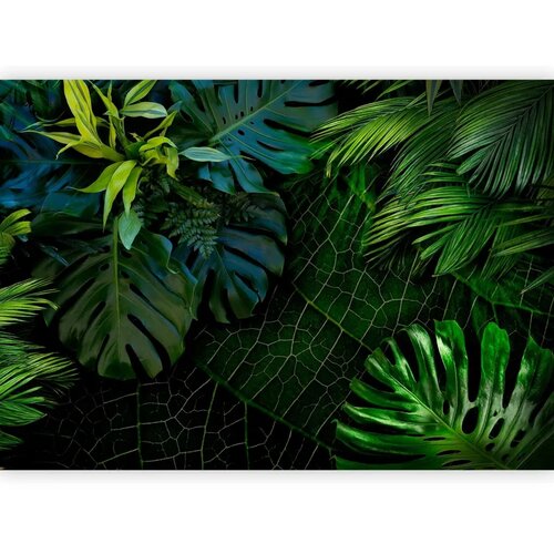  Foto tapeta - Dark Jungle 350x256 Slike