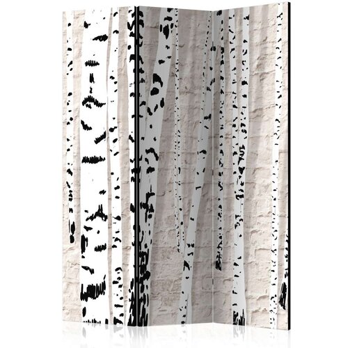  Paravan u 3 dijela - Birchen Grove [Room Dividers] 135x172 Slike