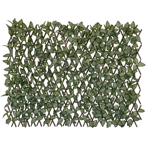 STIL Ograda 90x180 cm zelena Fittonia Cijene