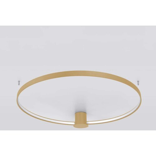  Thoro TH.222 - LED plafonsko svetlo RIO LED/21W/230V CRI98 3000K prečnik 55 cm zlatna Slike
