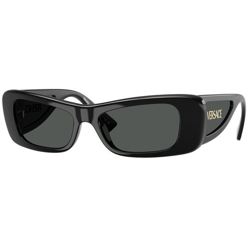 Versace Occhiali da Sole VE4481 GB1/87 Crna Cijene