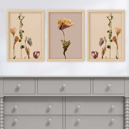 Wallity Set uramljenih slika 3NTC_4540429, 3 Dela Cene