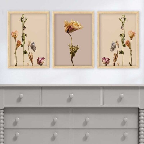Wallity Set uramljenih slika 3NTC_4540429, 3 dijela Cijene