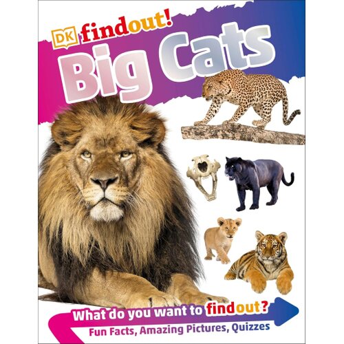 The Book Service Limited DK - DKfindout! Big Cats Cene