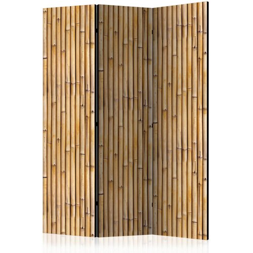 Artgeist PARAVAN 135/172/3 cm rjava, bež Cene