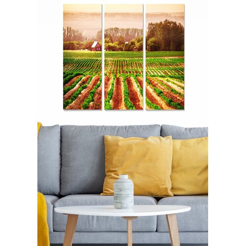 Wallity Set slika MDF67319566, 3 dijela Cene