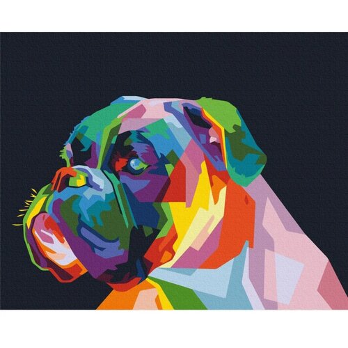  Slika za samostalno slikanje - Colourful Boxer 50x40 Cene
